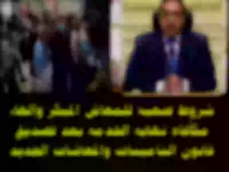 مفاجأة من العيار الثقيل: الحكومة تحدد ضوابط التقاعد وتكشف عن مكافأة ضخمة تنتظر الموظفين عند الإحالة للمعاش!