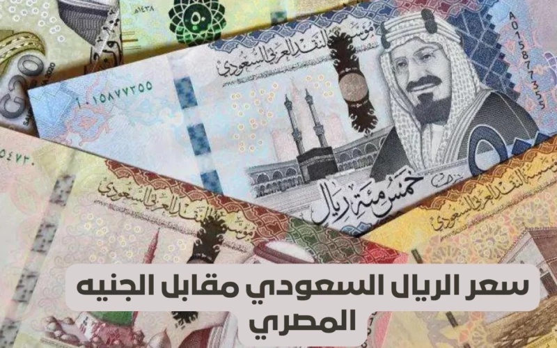 الريال طائر فوق في السماء .. مفاجأة في سعر الريال السعودي مقابل الجنيه المصري اليوم في السوق السوداء في مصر