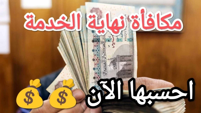 الحكومة تكشف عن معايير الحصول على المعاش وحساب مكافأة نهاية الخدمة... تعرف على التفاصيل الكاملة!