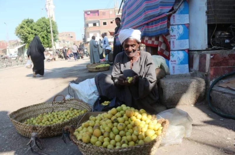 "فاكهة الغلابة" المزروعة في مصر... خمس دقائق تودع بها الإمساك وكبح جماح السكر بالدم وأسرار فقدان الوزن ومحاربة التجاعيد!