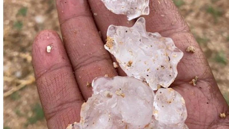 سقوط بردية بأحجام كبيرة على الهمجه ‏جنوب غرب ⁧‫القصيم ‬⁩.. فيديو