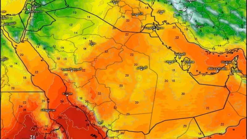 الجهني: موجة باردة متوقعة على شمال المملكة السبت المقبل