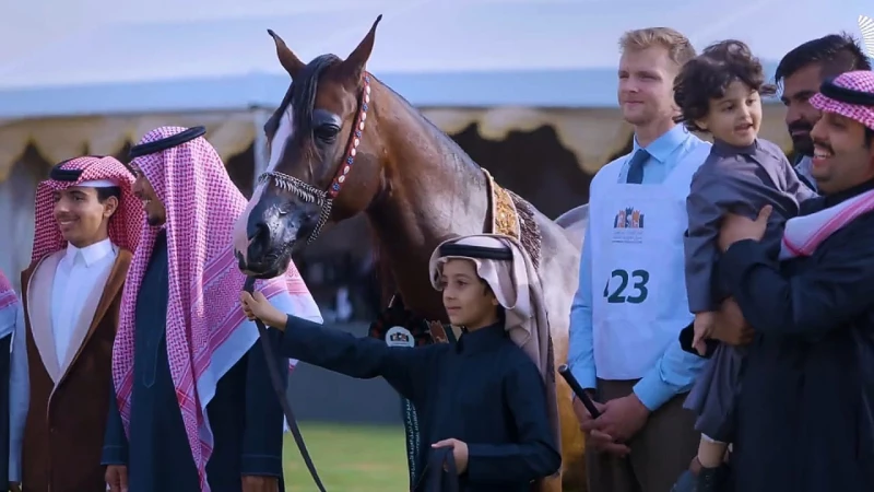 الدغيلبي يوضح أسرار جمال الخيل العربية الأصيلة .. فيديو